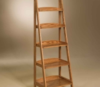 LadderShelf-AJF.jpg