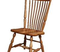 Canfield Side Chair-TRL