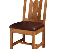 Durango Side Chair-TRL