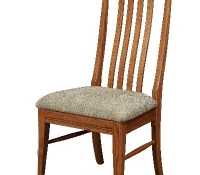 Oasis Side Chair-TRL